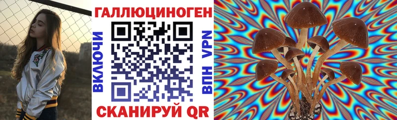 Псилоцибиновые грибы GOLDEN TEACHER  мега   Гусев 